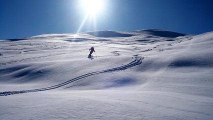 Curve in controluce