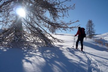 Nel bosco in salita