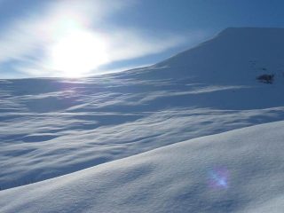 Paesaggi intonsi salendo