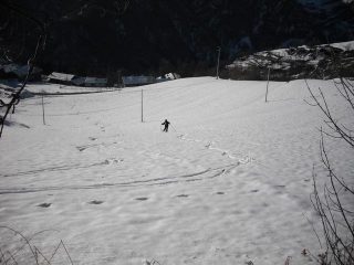 Sergio icontentabile 
