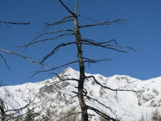 Punta di Verzel