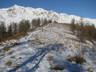 La dorsale con sfondo il Verzel