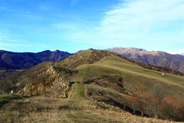 Il monte delle Vallasse e il Passo del Lupo visti salendo al Guardiabella