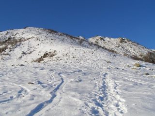 Dalla Sella Morteis