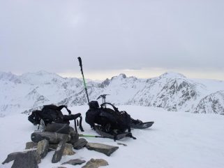 in cima