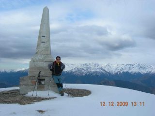 Pino in vetta