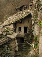 buttifinera