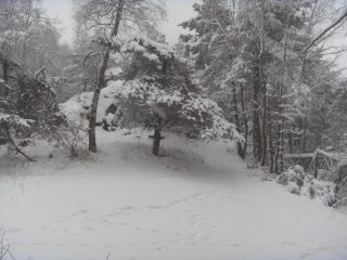 colle dell'arponetto