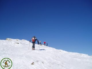 arrivo in punta