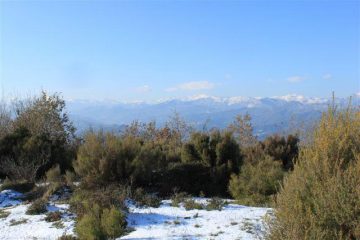  Uno sguardo verso le Alpi