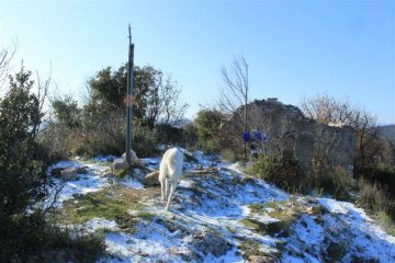 Sul Bignone col nostro amico a quattro zampe