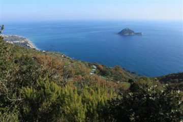 Quasi ad Albenga