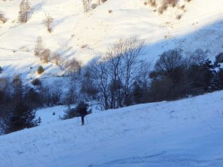 situazione sopra prato del rio