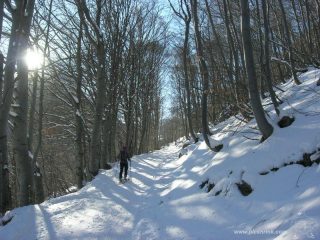 stradina iniziale