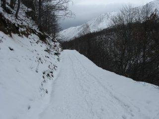 Stradina di rientro.....