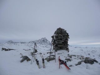 in cima.