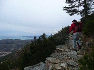 Salendo