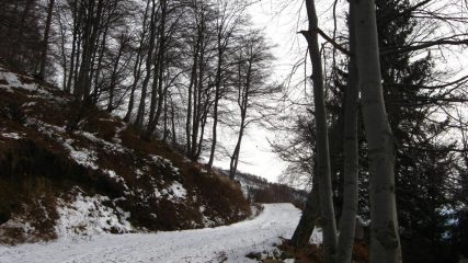 Stradina di rientro.....