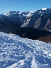 salita, fuori dal bosco
