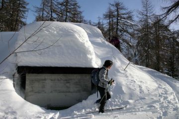 ... e l'anno scorso, stesso periodo