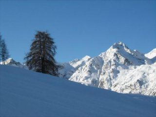 Cima dell'Artorto