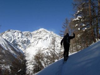 Michelino traccia nel bel bosco appena oltre le Grange Chaffaux