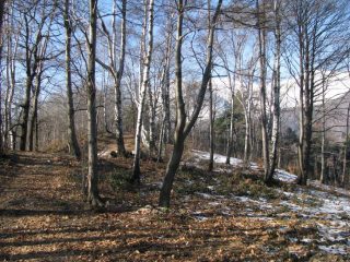 La Quota 927 di Truc Cravaria