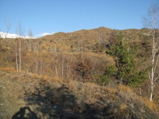 La particolarità dell'aspetto dei Monti Pelati, paesaggio da film Western