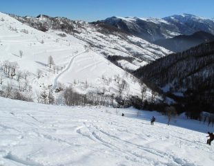 Quasi alla strada
