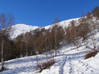 In marcia verso l'Alpe