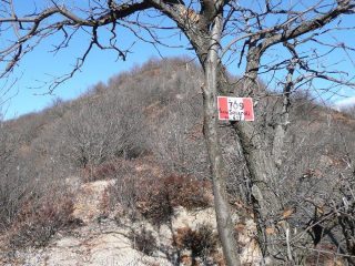 Passo Salaroli