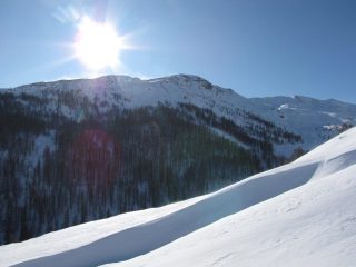 Pitre de l'Aigle