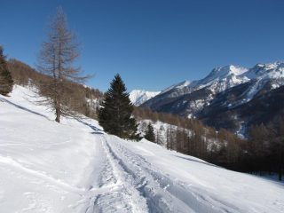 Salita poco fuori dal tratto del bosco
