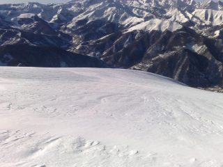 la costa testette