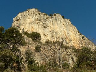 paretone da sotto