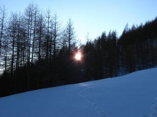 Salendo nel bosco.....