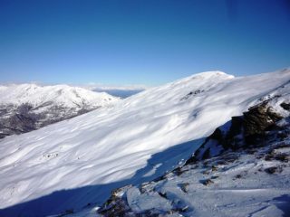 testa di cervetto ben innevata  ma non ancora trasformata