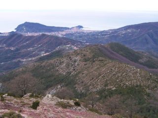 panorama