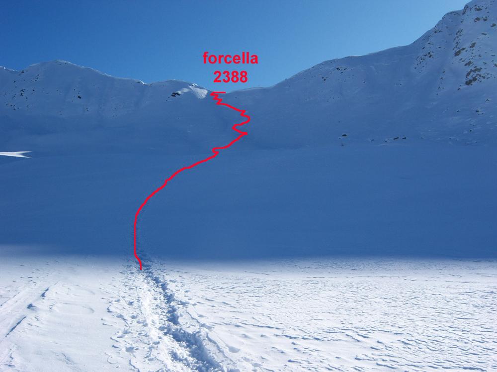 foto 4 _forcella 2388