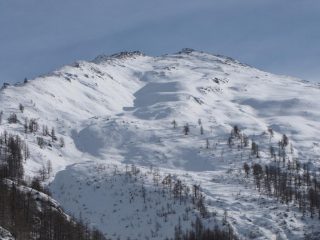 Il Pelato con la cresta 