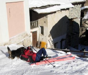il simpatico cane