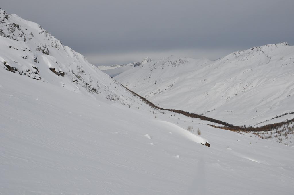 il vallone di salita. il pont de l'ariane e' dietro i larici un basso a destra