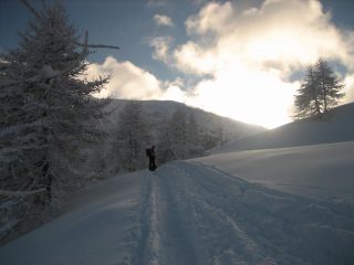 Attilio, aspirante, sul traverso prima della Malga Panizzi, sullo sfondo il M.te Frontè.