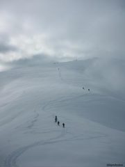 Quasi in punta si apre