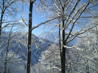 Come in un mondo incantato