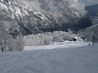 Salita nel bosco con impianti chiusi