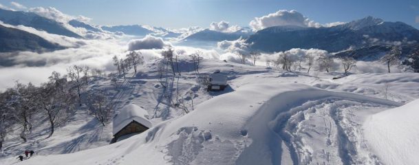 Panorama