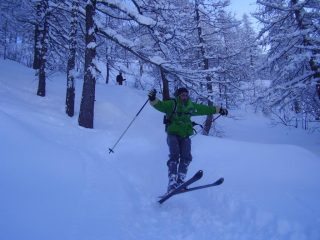 Zecca in salto