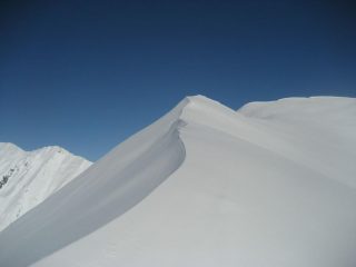 oggi, linee suggestive e invitanti...