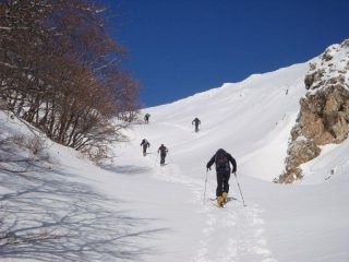 valle Canavine